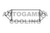 AUTOGAMMA 105690 Intercooler, charger